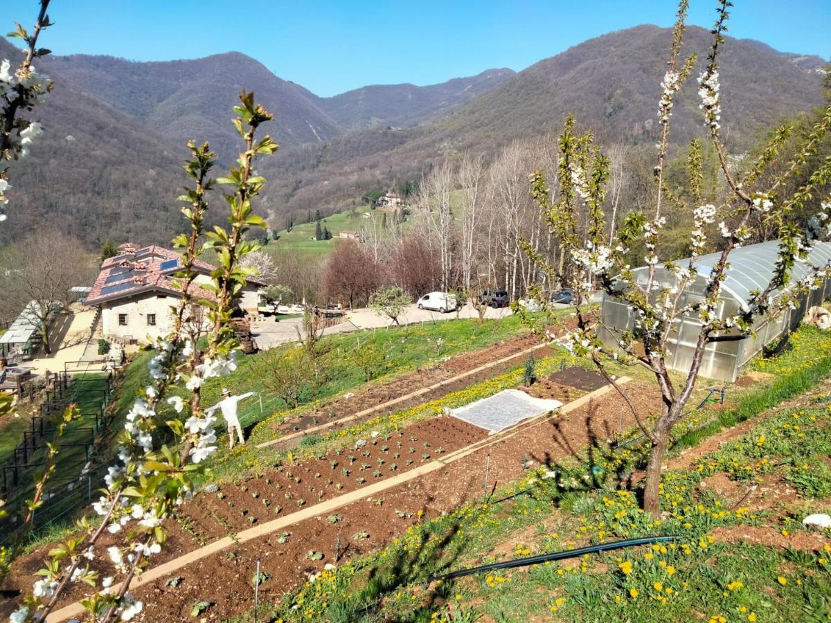 فيلا Alzano Lombardoفي Agriturismo Ca' Fenile المظهر الخارجي الصورة