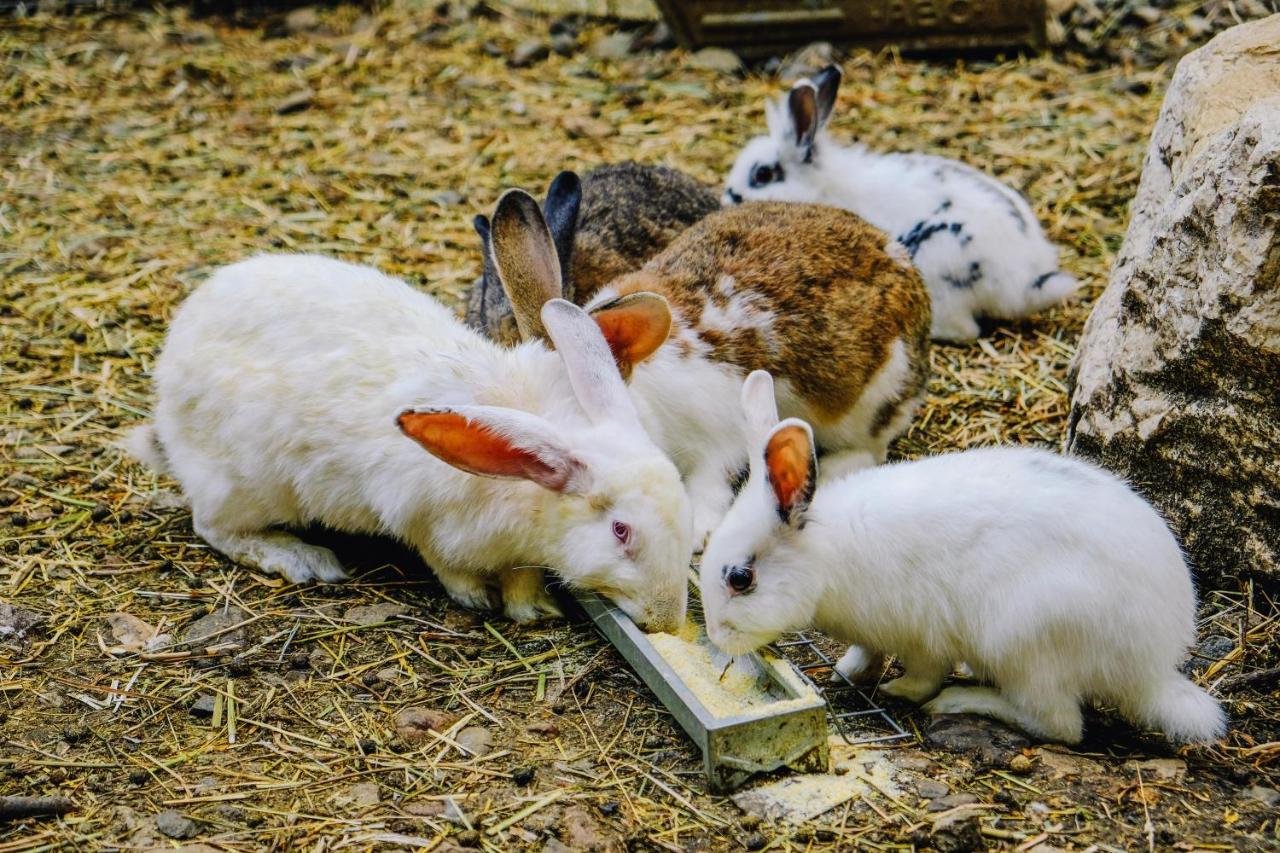 فيلا Alzano Lombardoفي Agriturismo Ca' Fenile المظهر الخارجي الصورة