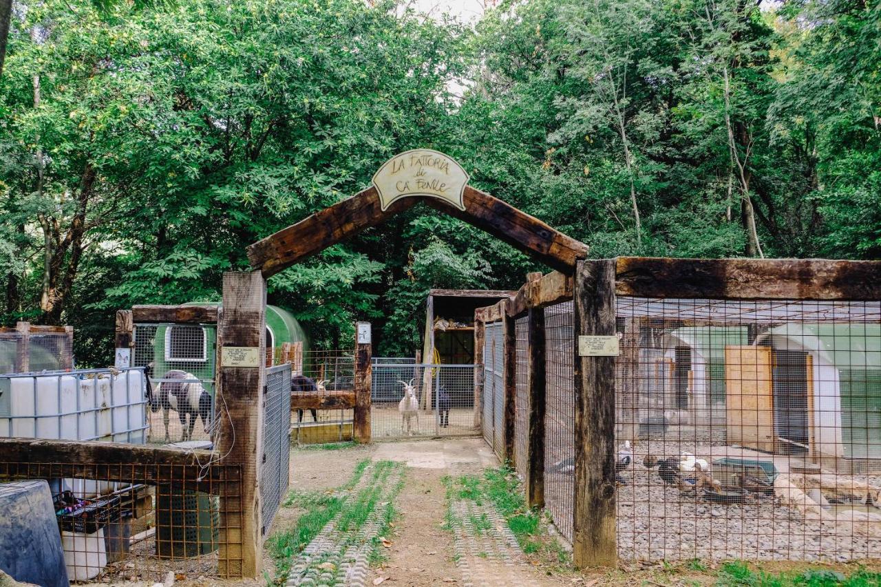 Agriturismo Ca' Fenile Alzano Lombardo المظهر الخارجي الصورة