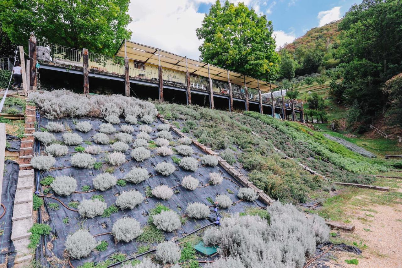 Agriturismo Ca' Fenile Alzano Lombardo المظهر الخارجي الصورة
