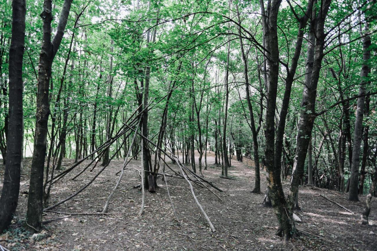 Agriturismo Ca' Fenile Alzano Lombardo المظهر الخارجي الصورة