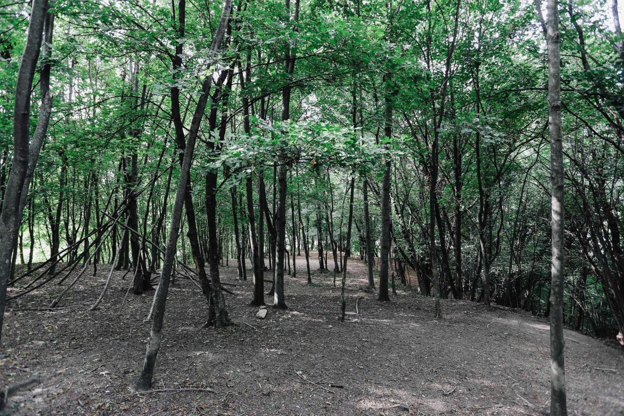 فيلا Alzano Lombardoفي Agriturismo Ca' Fenile المظهر الخارجي الصورة