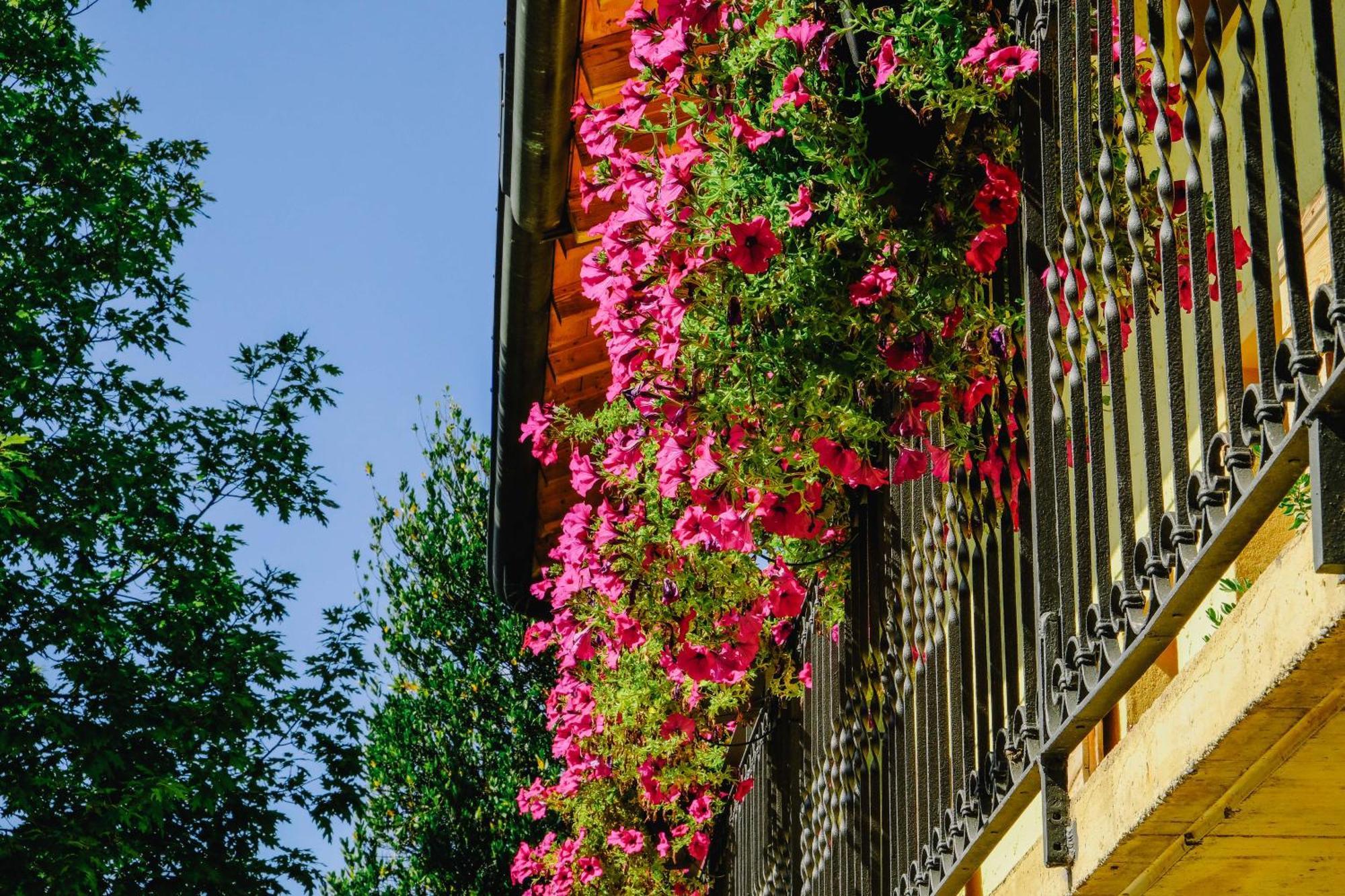 Agriturismo Ca' Fenile Alzano Lombardo المظهر الخارجي الصورة