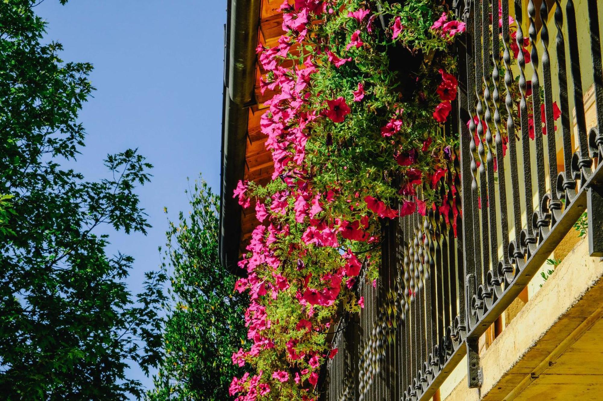 فيلا Alzano Lombardoفي Agriturismo Ca' Fenile المظهر الخارجي الصورة